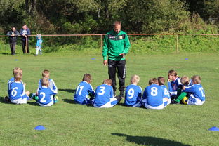 五大联赛核心球员缺阵时教练战术应变差异分析，五大联赛主教练工资排名