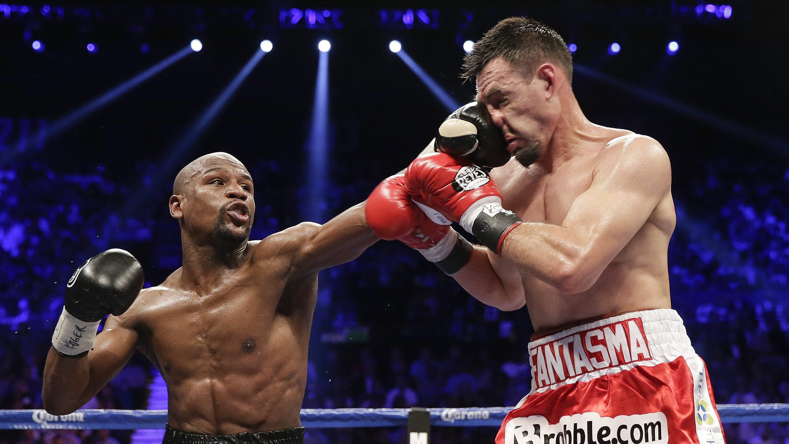 仰泳赛道摩纳哥选手节奏精准，摩纳哥泳池