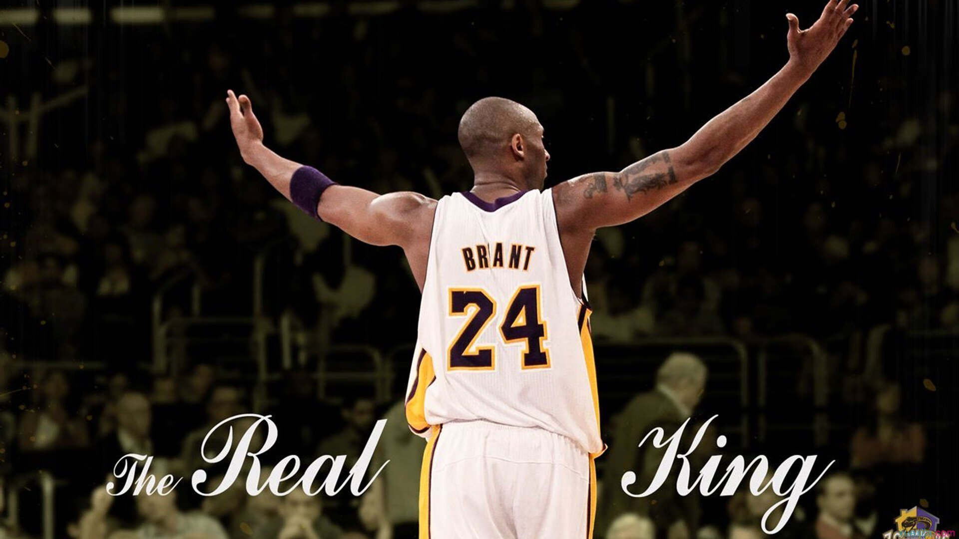 全黑队的配合默契度极高，比赛过程中展现绝对优势，黑队黑队口号