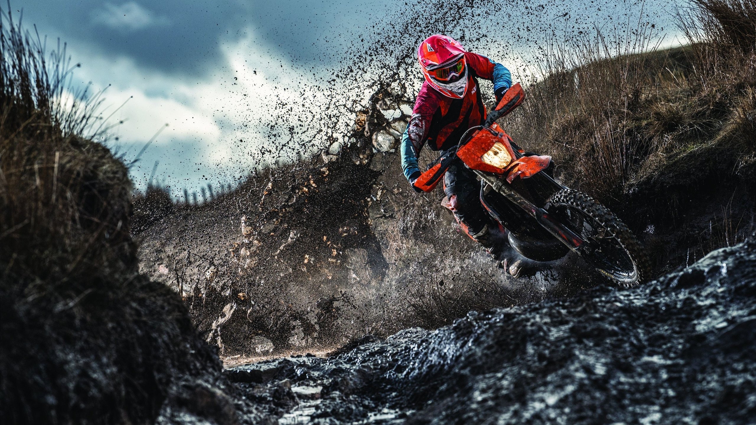 女子蝶泳配速波动对比赛影响，蝶泳 女生